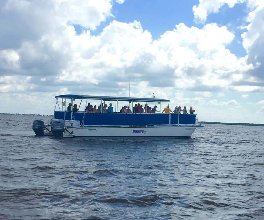 Flamingo Marina: Florida Bay Boat Tour of the Everglades - Key points to know before booking