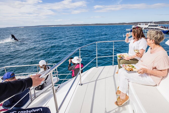 Freedom 3/4 Day Hervey Bay Premium Whale Watching Cruise - Key points to know before boarding