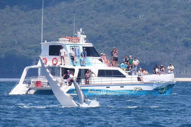 Freedom 3/4 Day Hervey Bay Premium Whale Watching Cruise - Boarding Freedom III at Urangan