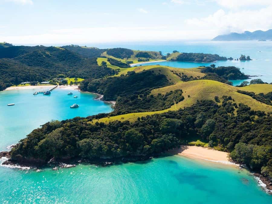 From Auckland: Full Day Private Tour to the Bay of Islands - Should you book it?