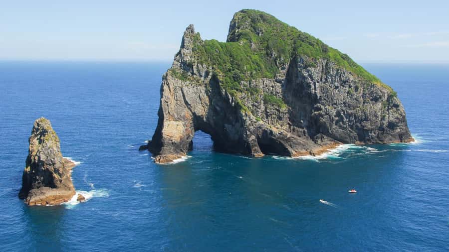 From Auckland: Full Day Private Tour to the Bay of Islands - Reaching Motukokako Island and the Hole in the Rock