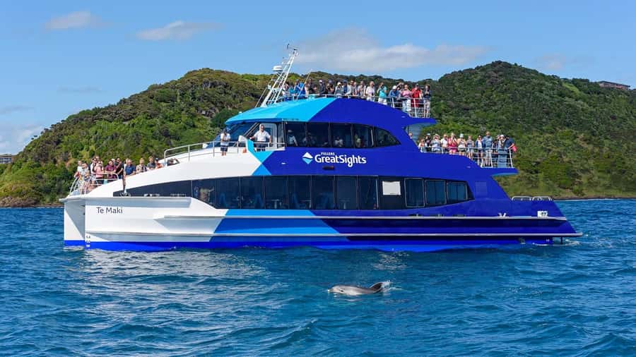 From Auckland: Full Day Private Tour to the Bay of Islands - Who should book this Bay of Islands experience