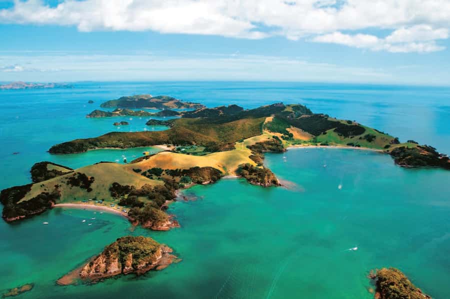 From Auckland: Full Day Private Tour to the Bay of Islands - Practical tips for a smoother day