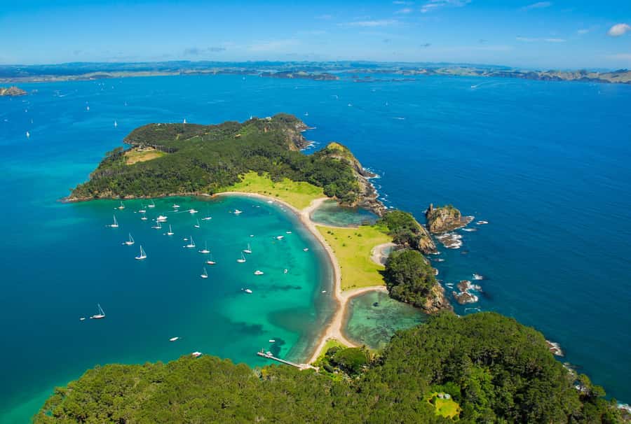 From Auckland: Full-Day Tour to the Bay of Islands - Key points to know before you book