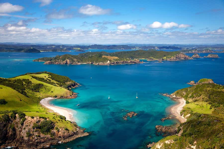 From Auckland: Full-Day Tour to the Bay of Islands - A three-hour ride north with a guide at the wheel