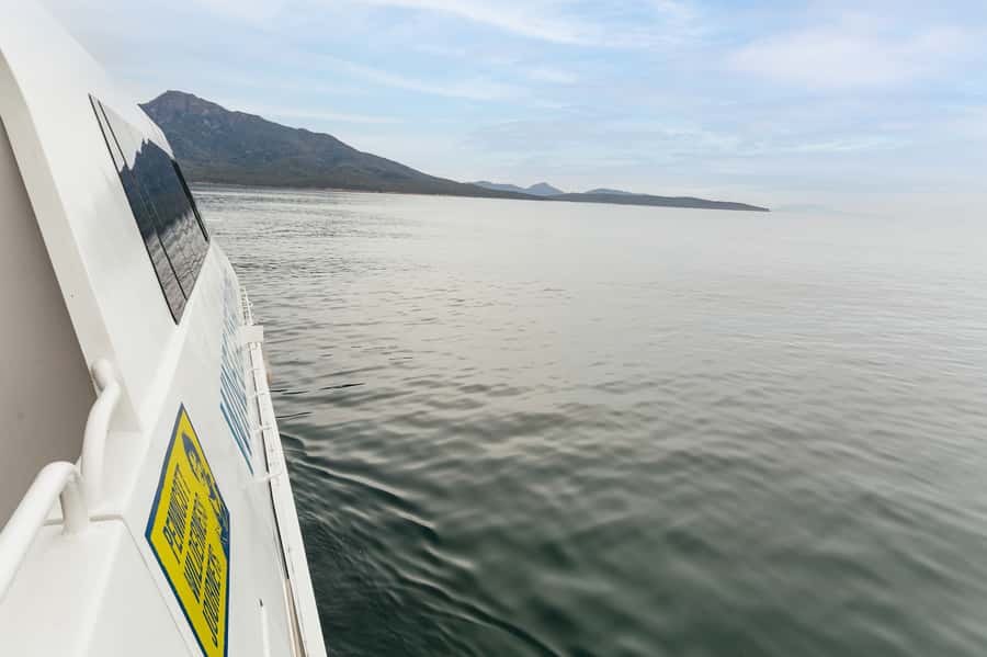 From Coles Bay: Wineglass Bay Cruise with Lunch - The $141 price and who gets good value