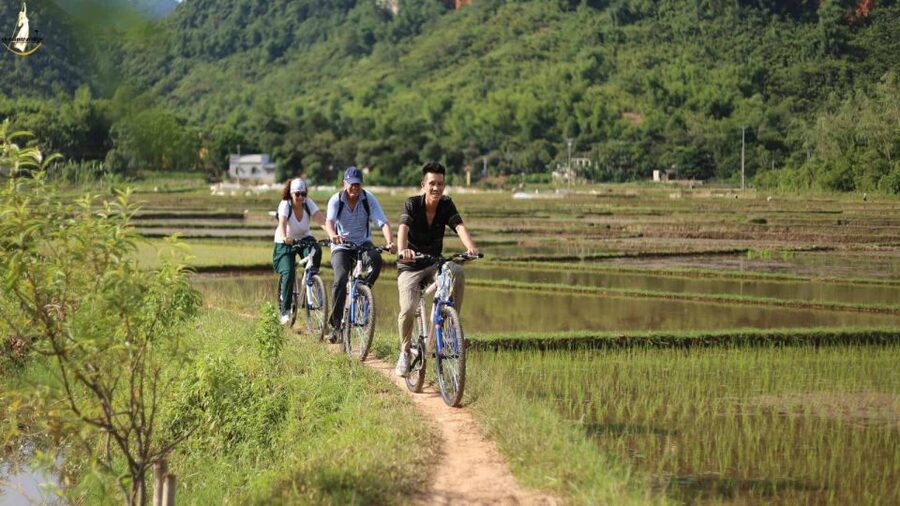 From Hanoi: 2-Day Ninh Binh Tour with Ha Long Bay Cruise - Sung Sot Cave, the main cave visit