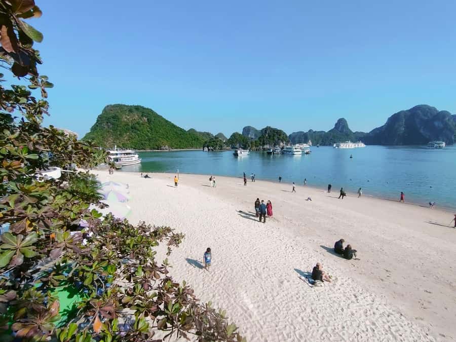 From Hanoi: Ha Long Bay Luxury Day Cruise with Food & Kayak - What the $26 price really buys you