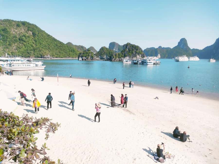 From Hanoi: Ha Long Bay Luxury Day Cruise with Food & Kayak - Luon Cave by kayak or bamboo boat
