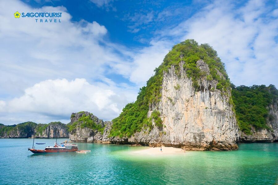 From Hanoi: Halong Bay Day Trip with Lunch and Transfers - Kayaking or bamboo boating into a mountain lagoon