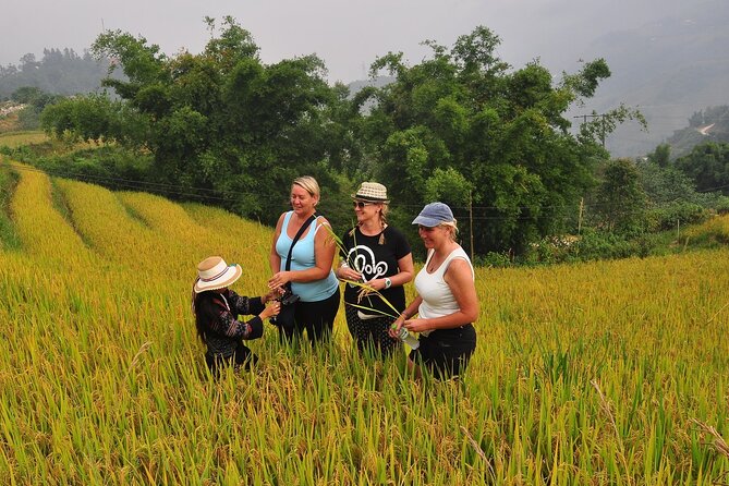 From Hanoi : Sapa Moutain Trek - Halong bay Heritage - A four-day route from Hanoi to two very different worlds