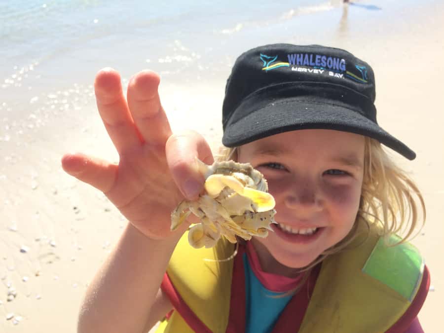 From Hervey Bay: Half-Day K'gari Fraser Island Beach Cruise - Safety, supervision, and the pace of the afternoon