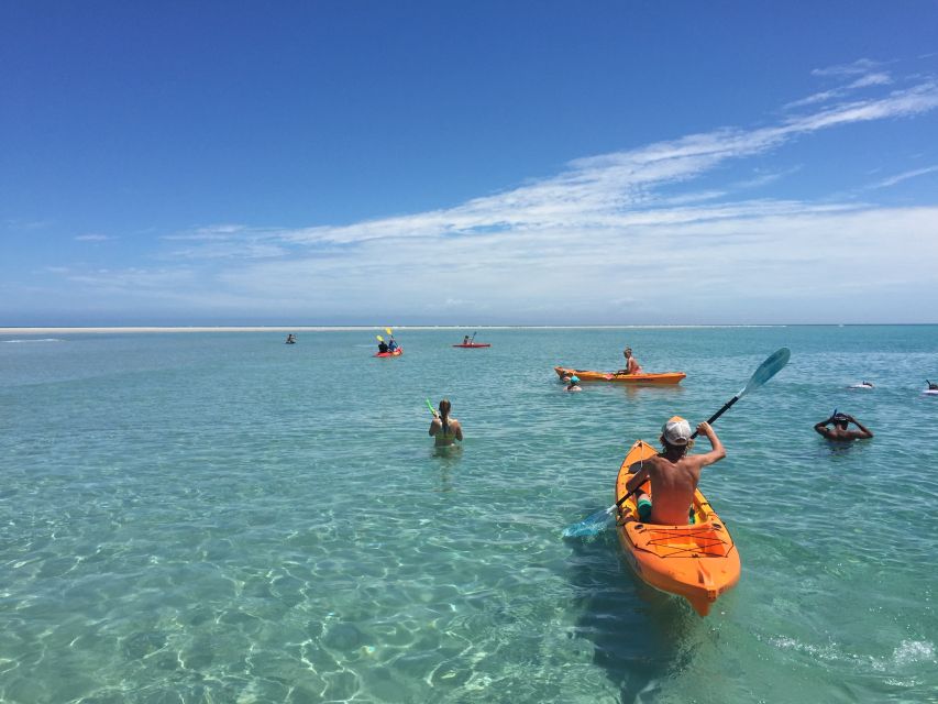 From Hervey Bay: Half-Day K'gari Fraser Island Beach Cruise - A BBQ lunch with prawns on the return cruise
