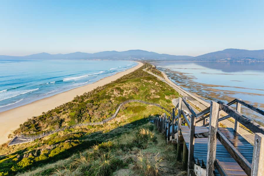 From Hobart/Adventure Bay: Bruny Island Wilderness Cruise - Key points before you book