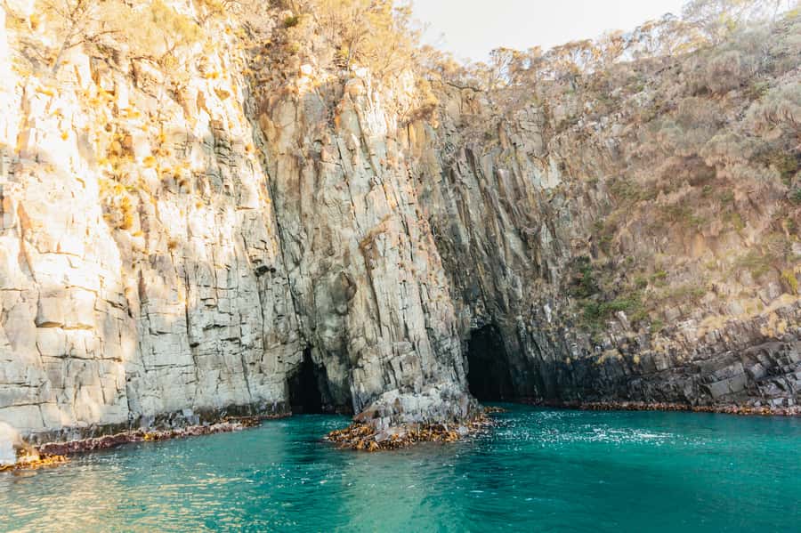 From Hobart/Adventure Bay: Bruny Island Wilderness Cruise - What makes Bruny Island’s southern coast special