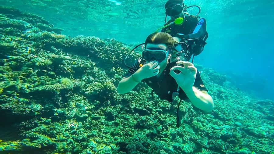 From Hurghada: Orange bay Snorkeling Cruise with Lunch - First snorkeling stop: Red Sea coral and marine life