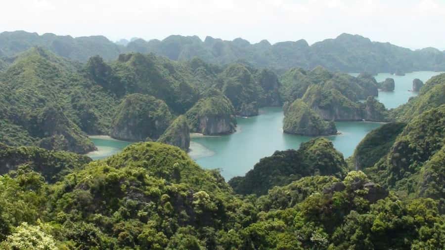 From Lan Ha Bay: Navy Peak, Viet Hai Village, and Monkey … - Guides, language, and group arrangements