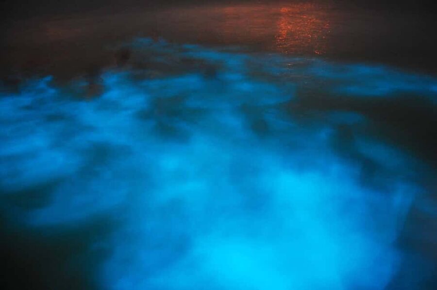 From Montego Bay: Luminous Lagoon Nighttime Boat Tour - Boarding the night boat at Falmouth