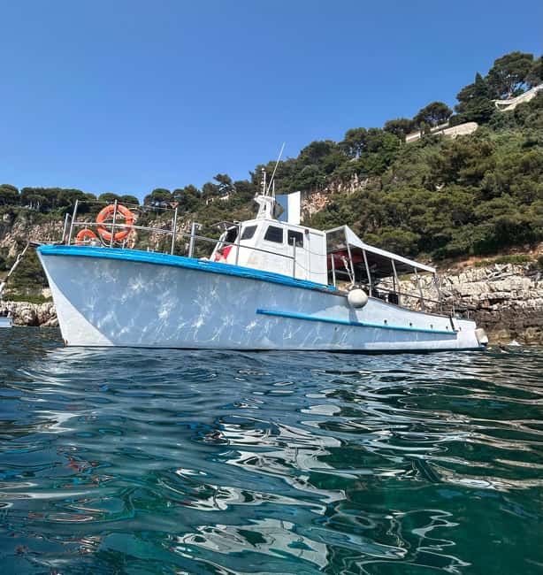 From Nice: Villefranche Bay Swimming & Snorkeling Boat Tour - From Nice harbor to the sheltered bay