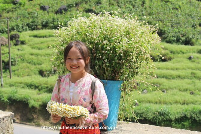 From Ninh Binh: 1 Day Ha Long Bay Deluxe Cruise Tour - The Long Transfer Is Both Strength and Weakness