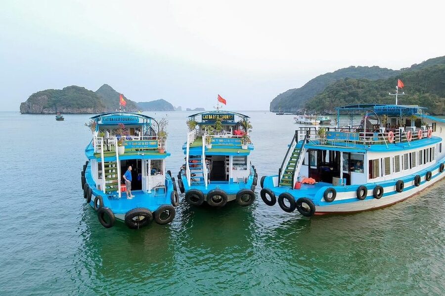 From Ninh Binh : 2 Days Lan Ha Bay, Cat Ba Island Overnight - Kayaking through K.A Cave and Bats Cave