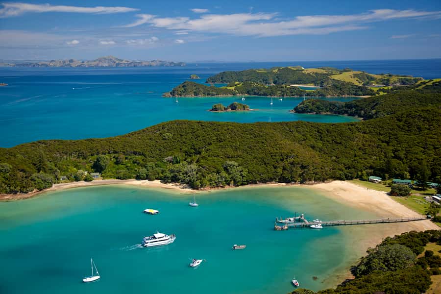 From Paihia: Full-Day Bay of Islands Cruise - Key points to know before booking