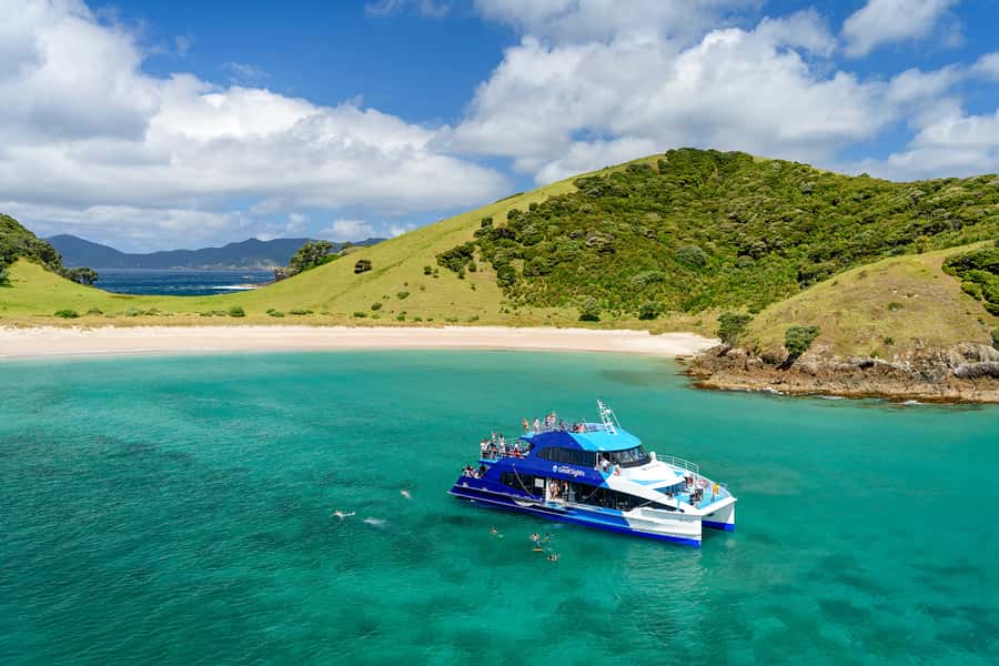 From Paihia: Full-Day Bay of Islands Cruise - Searching for dolphins, whales, and other wildlife