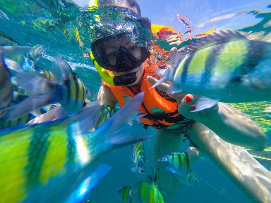 From Phuket: Phi Phi and Maya Bay Snorkeling by Speedboat - A Fast, Full Day from Phuket