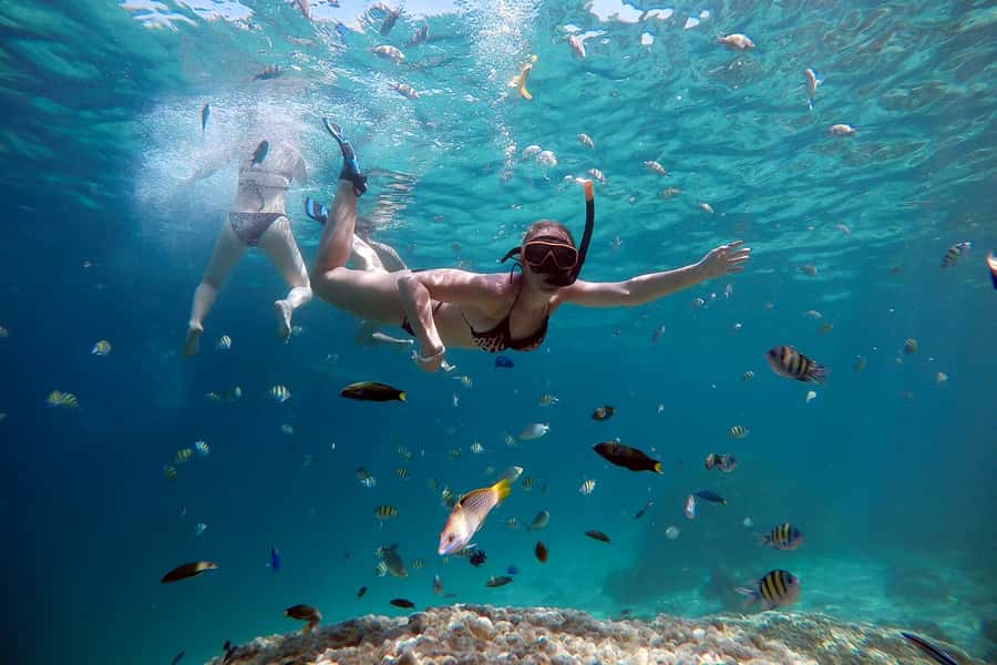From Phuket: Phi Phi and Maya Bay Snorkeling by Speedboat - Monkey Beach from the Water