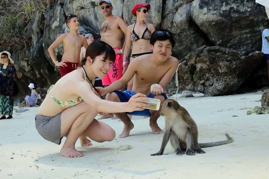 From Phuket: Phi Phi and Maya Bay Snorkeling by Speedboat - Lunch Beside the Sea on Phi Phi Don