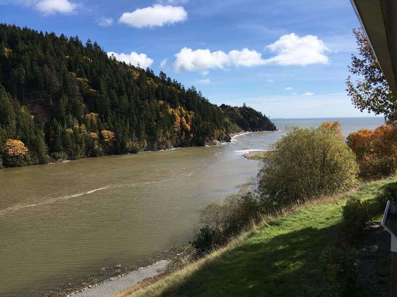 From Saint John: Bay of Fundy Bus Trip for Cruise Passengers - Starting at the Marco Polo Cruise Terminal