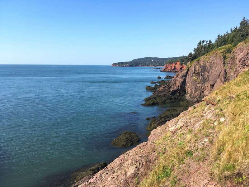 From Saint John: Bay of Fundy Bus Trip for Cruise Passengers - Fort Howe and Carleton Martello Tower