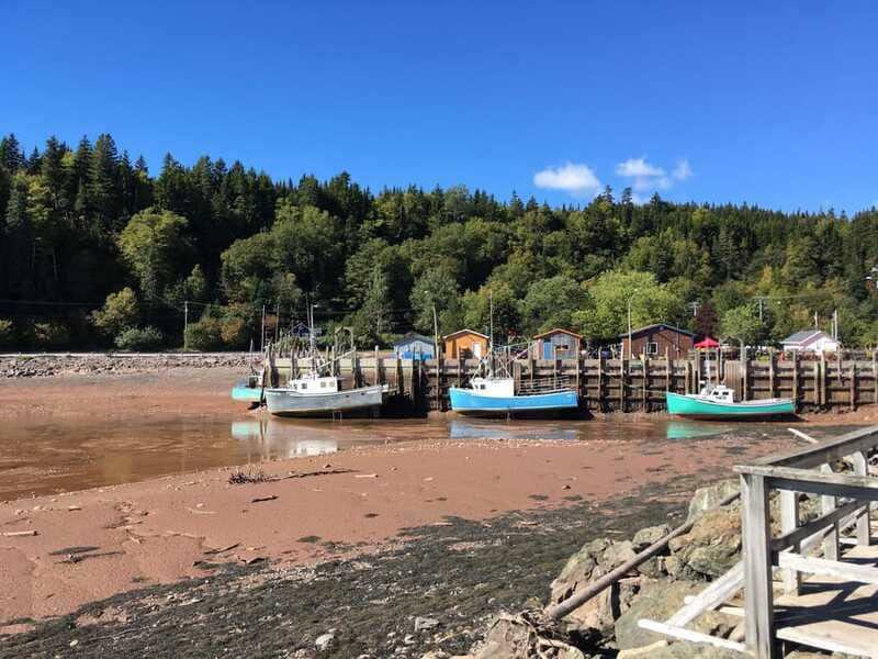 From Saint John: Bay of Fundy Bus Trip for Cruise Passengers - Should you book this Bay of Fundy trip?