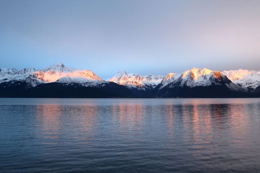 From Seward: Half-Day Resurrection Bay Wildlife Cruise Tour - How the wildlife search works