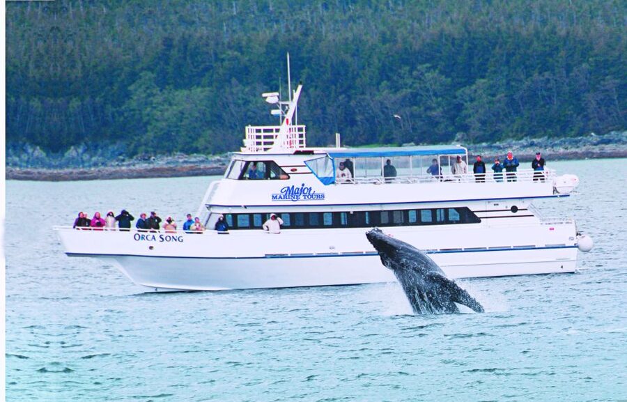 From Seward: Half-Day Resurrection Bay Wildlife Cruise Tour - Following Resurrection Bay toward Kenai Fjords