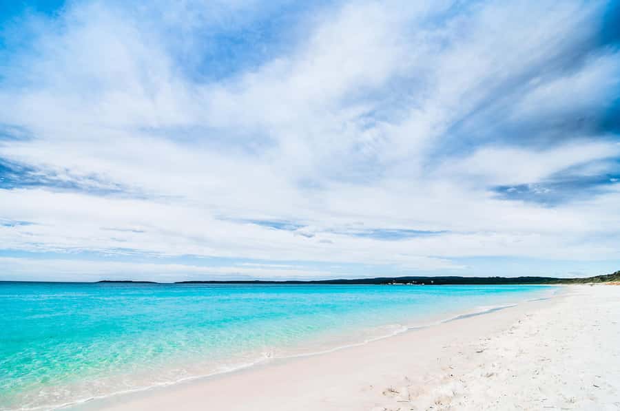 From Sydney: Jervis Bay Day Tour and Dolphin Watching Cruise - Who will enjoy this tour most