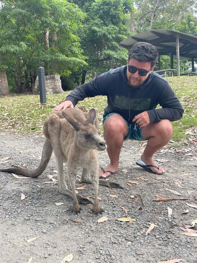 From Sydney: Jervis Bay Day Tour and Dolphin Watching Cruise - Huskisson for food and a pause by the water