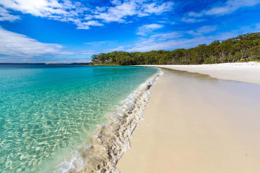 From Sydney: Jervis Bay Day Tour and Dolphin Watching Cruise - How the long day feels in practice