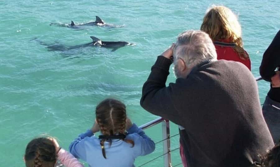 From Sydney: Jervis Bay Day Tour and Dolphin Watching Cruise - Starting at 7 am from Sydney Central
