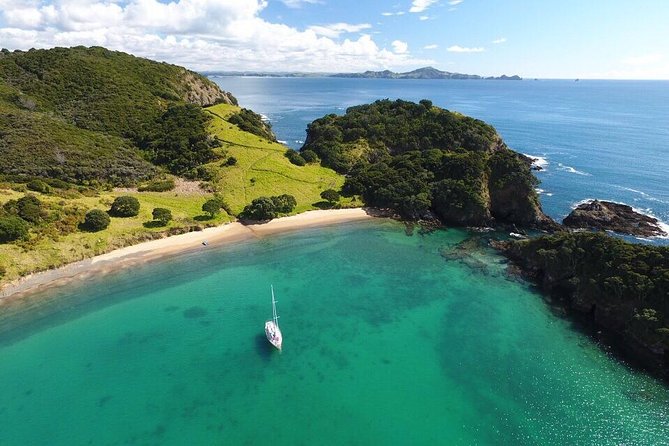 Full-Day Bay of Islands Tour by Vigilant Yacht Charters - One island, about 90 minutes, many choices