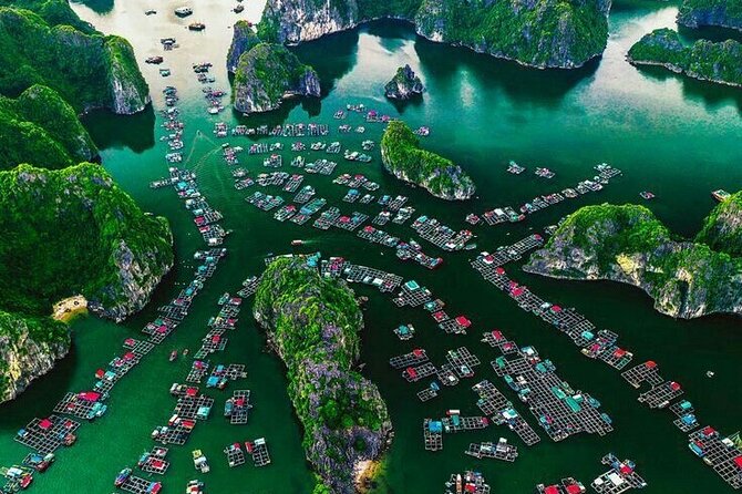 Full Day Boat Tour in Halong Bay, Cat Ba Archipelago & Lan Ha Bay - Vietnamese lunch with plenty to share