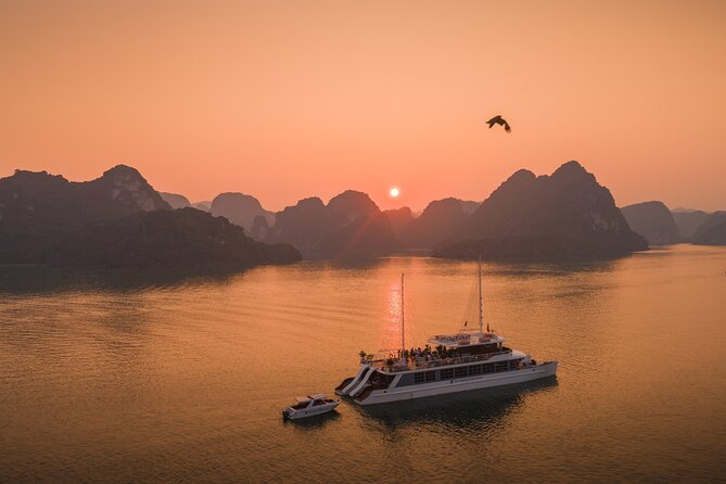 Full Day Group Tour in Lan Ha Bay - A New Yacht With a Very Full Day Ahead