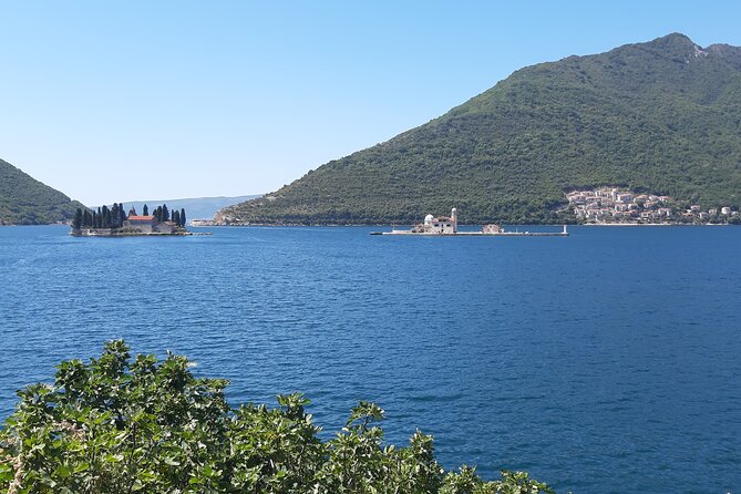 Full-Day Tour Bay of Kotor Perast Kotor and Budva small group from Dubrovnik - Group size and the role of the driver