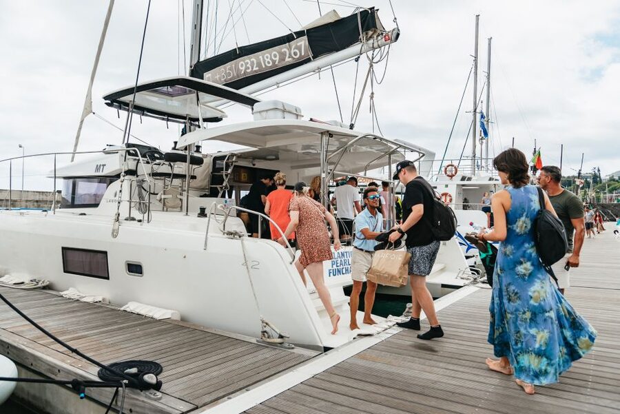 Funchal Bay: Dolphin & Whale Watch Luxury Catamaran Cruise - Key points to know before you book