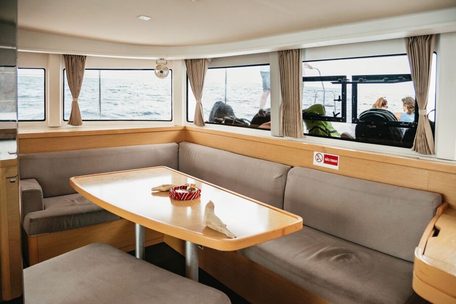 Funchal Bay: Dolphin & Whale Watch Luxury Catamaran Cruise - Who will enjoy this cruise most