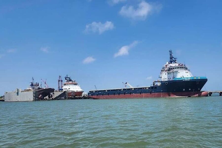 Galveston: Dolphin Watching Boat Tour in Galveston Bay - A guide-led ride with plenty of personality