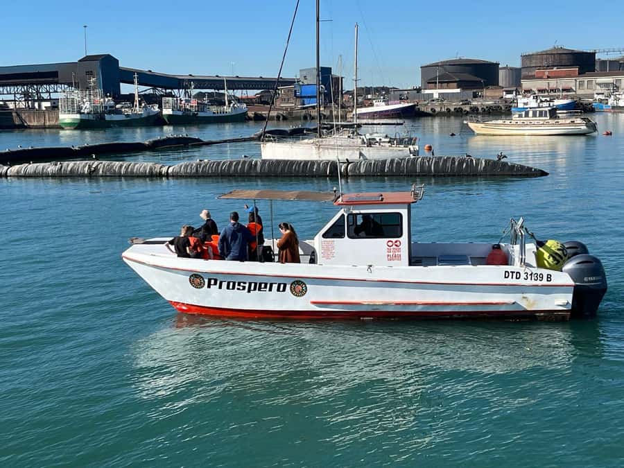 Gqeberha: 30 MINUTE HARBOUR CRUISE - Key points at a glance