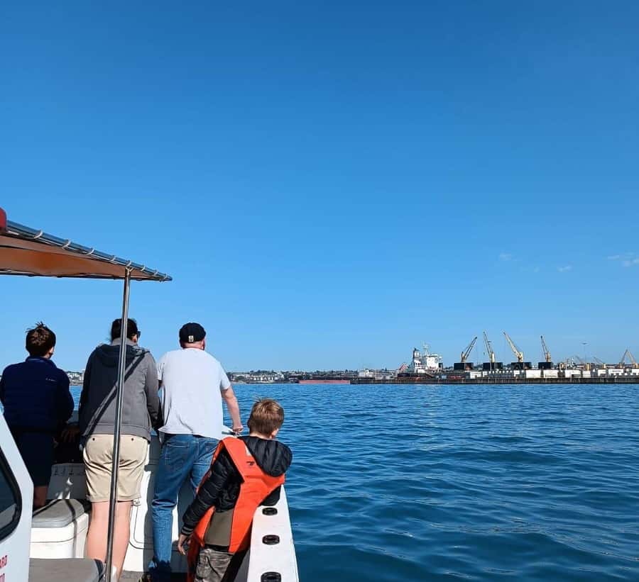 Gqeberha: 30 MINUTE HARBOUR CRUISE - The 30-minute route through Port Elizabeth harbour