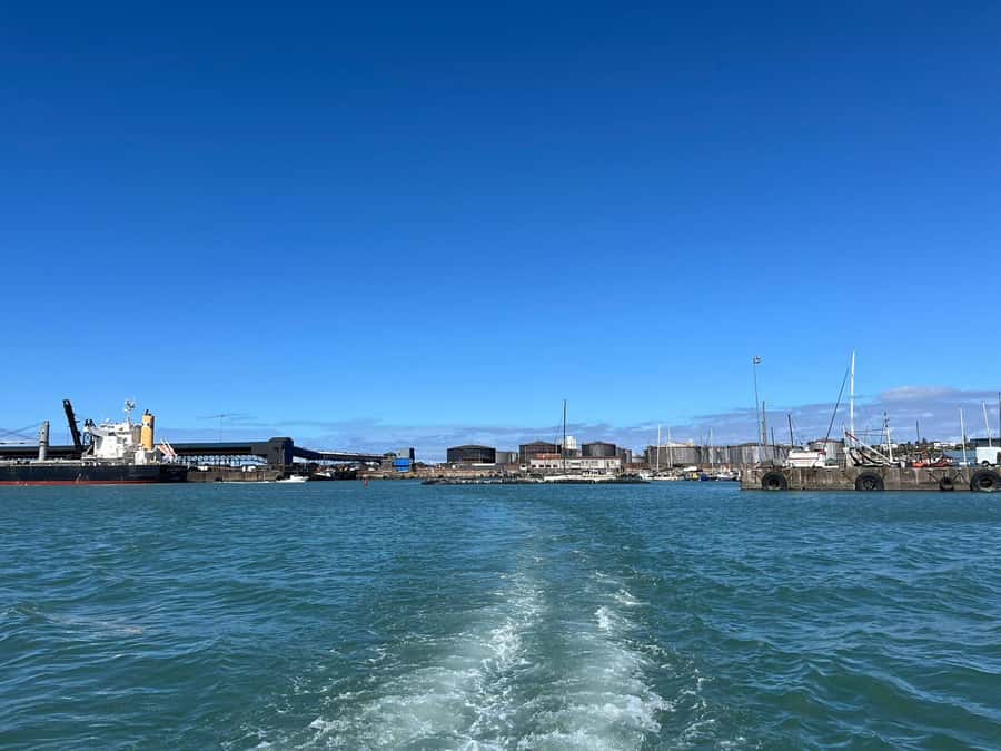 Gqeberha: 30 MINUTE HARBOUR CRUISE - Learning how cargo moves from ship to shore