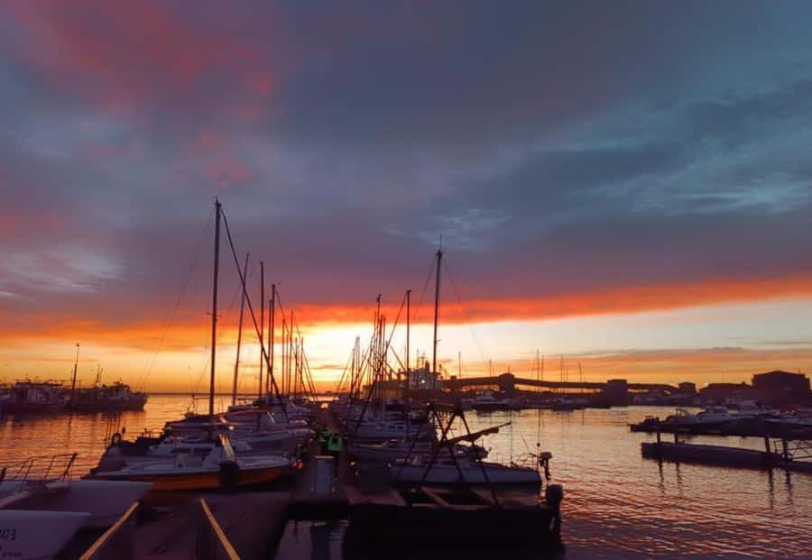 Gqeberha: 30 MINUTE HARBOUR CRUISE - Fishing vessels, safety, and life at the berths